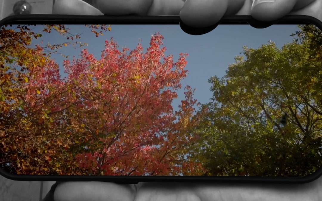Video: Videography on the iPhone 15 Pro